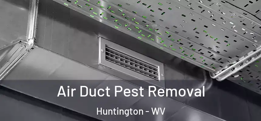  Air Duct Pest Removal Huntington - WV