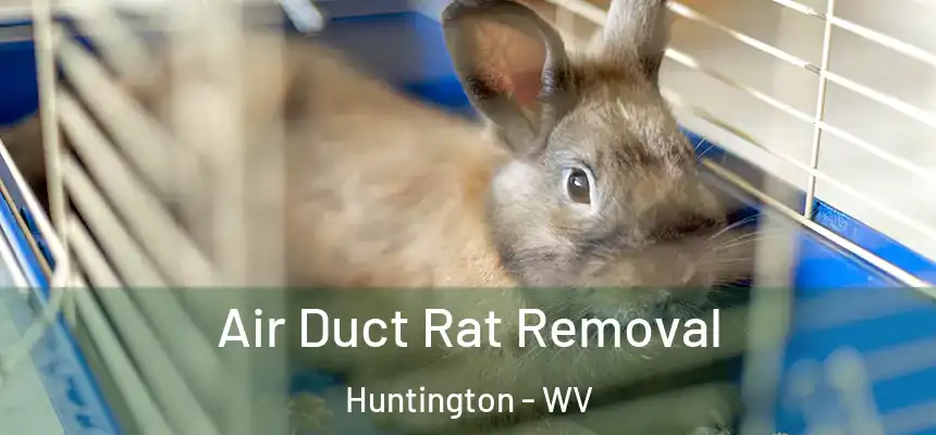  Air Duct Rat Removal Huntington - WV