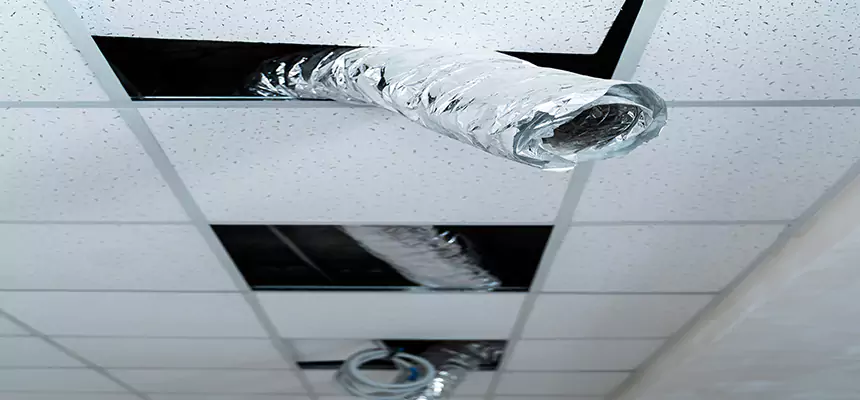 Our Air Duct Pet Hair Removal Services in Huntington, WV