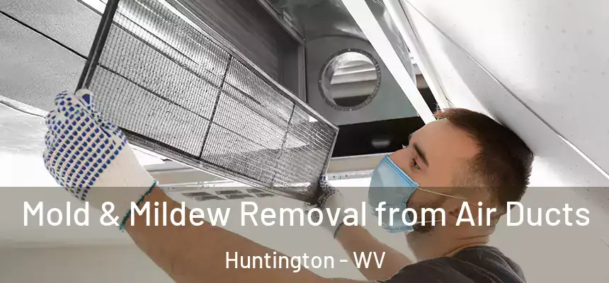  Mold & Mildew Removal from Air Ducts Huntington - WV