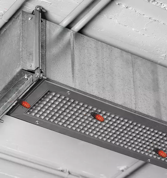 About Air Duct Cockroach Removal in Huntington, WV