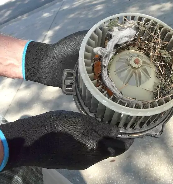 About Air Duct Mice Removal in Huntington, WV