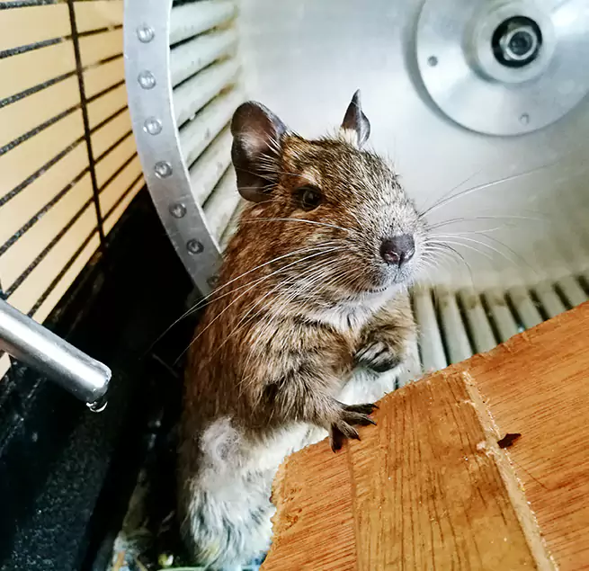 Why Homeowners & Businesses Trust Us Huntington, WV?